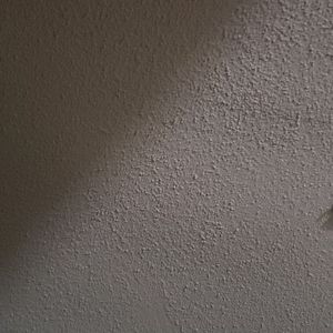 Meet your Posher, Liz